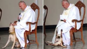 Pies wbiegł na ołtarz w czasie mszy i bardzo chciał się bawić. Reakcja księdza j